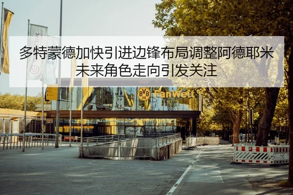 多特蒙德加快引进边锋布局调整阿德耶米未来角色走向引发关注
